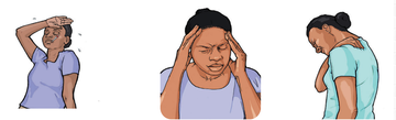 Symptoms of BVD Ebola (no text) 1