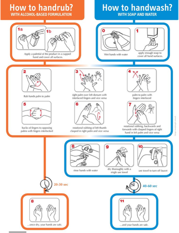 A graph that shows steps on how to handrub and handwash